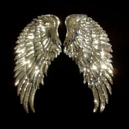 1 Pair Fashion Large Sequins Wing Embroidery Patch Fabric For Clothing Applique Coat DIY Accessories Iron On Repair