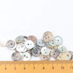 50PCS 20/18/15/12/10mm Natural Shell Sewing Buttons Color Japan Mother of Pearl MOP Round Shell 2 Hole Button Sewing Accessories