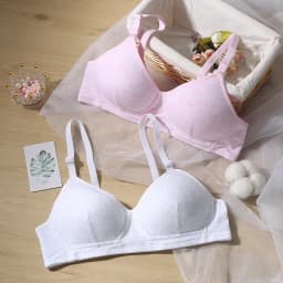 Female Underwear Women's Gathering Bra No Steel Ring Bra Thin Adjustable Bra Woman Clothes Breathable Comfortable Lingerie