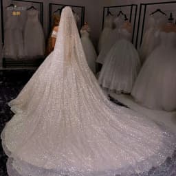 TOPQUEEN V101 Sparking Bridal Veil Glitter Wedding Veil Long 3M/5M Luxury Cathedral Wedding Veil Champagne Colored Wedding Veils
