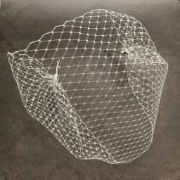 Silver Gold Birdcage Veils White Blusher Veil for Bride schleier braut