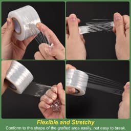 200M PE Grafting Tape Film Self-adhesive for Fruit Tree Nursery Plants Seedlings Vine Floristry Tomato Grafting Supplies Stretch