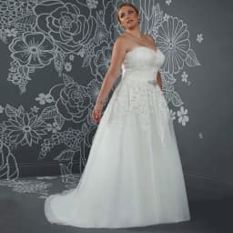 Wedding Dress Plus Size for Women Bride Customized Sexy Sweetheart Sleeveless Lace Applique A Line Sweep Train Tulle Bridal Gown