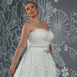 Wedding Dress Plus Size for Women Bride Customized Sexy Sweetheart Sleeveless Lace Applique A Line Sweep Train Tulle Bridal Gown