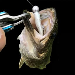 MrLurion 30pcs 1g 2g 3g 5g 10g 14g 18g 22g 25g 28g Fishing jigging head hook ,round head rigs fishhook for soft worm crank lures