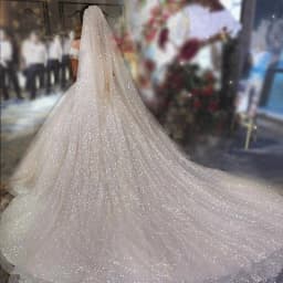 B58-D Sparkle Wedding Veil Champagne Colored Wedding Veils Bling Bridal Veils Long 3M/5M Bride Veil Luxury Cathedral Veil