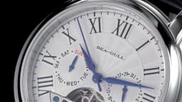 SEAGULL Luxury Watch Business Waterproof Male Clock Date Stainless Steel Mechanical Watch Men Watch Reloj Hombre 2026 D819.622