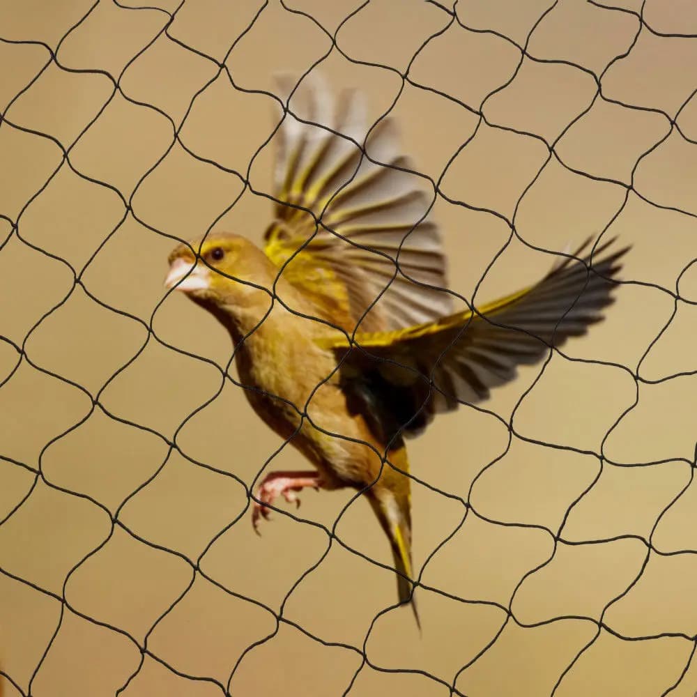 50X100 Ft Anti Bird Netting Bird Poultry Fish Aviary Game Multi-Net Mesh Nylon