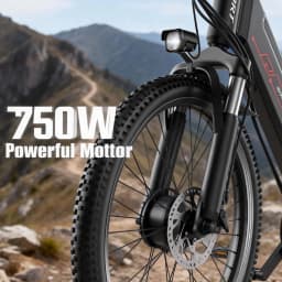 750W Adult Electric Bike, 48V10.4AH Electric Mountain Bike, 7-speed Variable Speed E Bike, 28MPH All-terrain Electric Bike