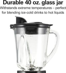 Blender and Food Processor Combo – 40oz Glass Jar, Portable Travel Cup, 3-Cup Electric Food Chopper, 700W – Gray/Black (58163)