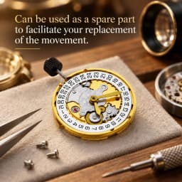 For ETA 2824 Watch Automatic Mechanical Movement Replacement Gold/Silver Version Top Clone 2824 Repair Tools and Kits
