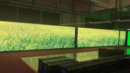 High Resolution P2 256*128mm SMD1515 128x64 Pixel RGB Full Color Indoor LED Panel Matrix LED Advertising TV Display Screen