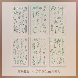 JIANQI 6pcs/pack Transparent PET Stickers Scrapbooking Materials DIY Junk Journal Collage Floral Leaves Plants Decor Stickers