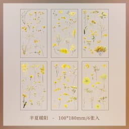 JIANQI 6pcs/pack Transparent PET Stickers Scrapbooking Materials DIY Junk Journal Collage Floral Leaves Plants Decor Stickers