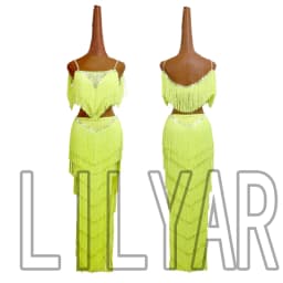 New Latin Dance Competition Costumes Skirt Performing Dress Rhinestones Adult Customize Children Purple Tassel Skirt