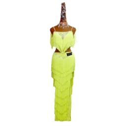 New Latin Dance Competition Costumes Skirt Performing Dress Rhinestones Adult Customize Children Purple Tassel Skirt