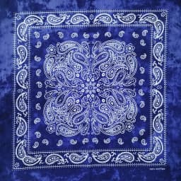 New Design Fashion Hip Hop Cotton Bandana Square Cashew Scarf Headband Tie Dye Black Red Paisley Gifts For Women/Men/Boys/Girls