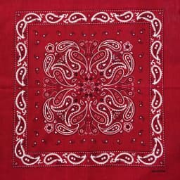 New Design Fashion Hip Hop Cotton Bandana Square Cashew Scarf Headband Tie Dye Black Red Paisley Gifts For Women/Men/Boys/Girls