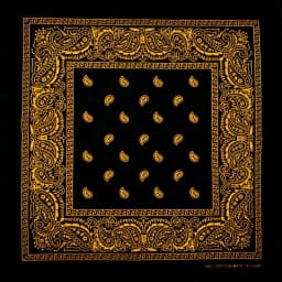 New Design Fashion Hip Hop Cotton Bandana Square Cashew Scarf Headband Tie Dye Black Red Paisley Gifts For Women/Men/Boys/Girls