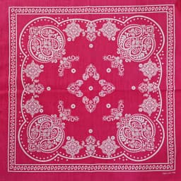 New Design Fashion Hip Hop Cotton Bandana Square Cashew Scarf Headband Tie Dye Black Red Paisley Gifts For Women/Men/Boys/Girls