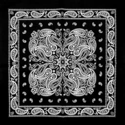 New Design Fashion Hip Hop Cotton Bandana Square Cashew Scarf Headband Tie Dye Black Red Paisley Gifts For Women/Men/Boys/Girls