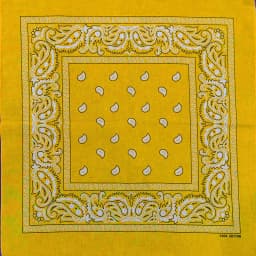 New Design Fashion Hip Hop Cotton Bandana Square Cashew Scarf Headband Tie Dye Black Red Paisley Gifts For Women/Men/Boys/Girls