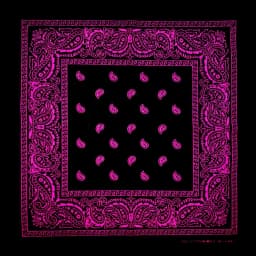 New Design Fashion Hip Hop Cotton Bandana Square Cashew Scarf Headband Tie Dye Black Red Paisley Gifts For Women/Men/Boys/Girls