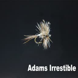 CONTEMPLATOR 4 Styles 14#16# Adam Series Flies 5pcs/Box Quintessential Dry Fly Adam Parachute Wulff Irresistible Fly Fishing Lur