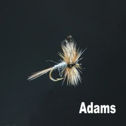 CONTEMPLATOR 4 Styles 14#16# Adam Series Flies 5pcs/Box Quintessential Dry Fly Adam Parachute Wulff Irresistible Fly Fishing Lur