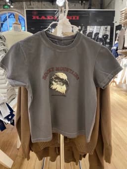 Classic Rock Graphic T-shirts Women Casual Summer Gray O Neck Short Sleeve Cotton Crop Top Vintage Streetwear Slim Y2k Tees Chic