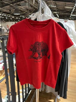 Classic Rock Graphic T-shirts Women Casual Summer Gray O Neck Short Sleeve Cotton Crop Top Vintage Streetwear Slim Y2k Tees Chic