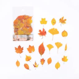40Pcs/pack Plant Flower Mushroom Ginkgo PET Deco Diary Stickers Scrapbooking Planner INS Decorative Stationery Sticker