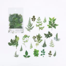 40Pcs/pack Plant Flower Mushroom Ginkgo PET Deco Diary Stickers Scrapbooking Planner INS Decorative Stationery Sticker