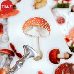 40Pcs/pack Plant Flower Mushroom Ginkgo PET Deco Diary Stickers Scrapbooking Planner INS Decorative Stationery Sticker