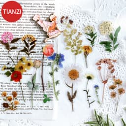 40Pcs/pack Plant Flower Mushroom Ginkgo PET Deco Diary Stickers Scrapbooking Planner INS Decorative Stationery Sticker