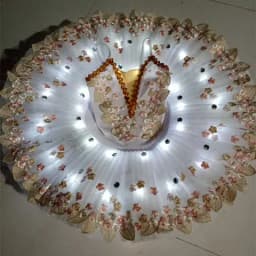 Ruoru Professional Ballerina Led Ballet Tutu For Child Children Kids Girls Adults Pancake Tutu Dance Costumes Ballet Dress Girls