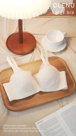 Big Chest Appears Small Bra for Women Lightweight Breathable Seamless Soft Support Breast Collection Anti Sagging Bra OWD6105