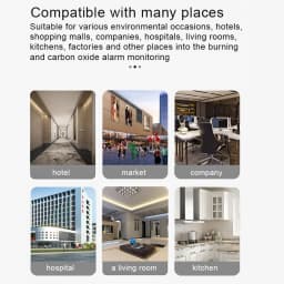Tuya Smart Life Natural GAS CO Leak Carbon Monoxide Detector WIFI CH4 Methane Combustible Leakage Coal Home Alarm Sensor