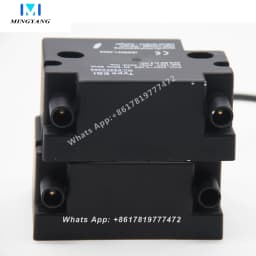 Igniter High Voltage Transformer Methanol Diesel Waste Oil Ignition Ceramic Ignition Needle High Voltage Continuous Ignition