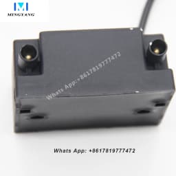 Igniter High Voltage Transformer Methanol Diesel Waste Oil Ignition Ceramic Ignition Needle High Voltage Continuous Ignition
