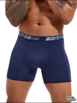5pcs Boxers Men's Panties Breathable Boxer Shorts Men Underwear Polyester Underpants for Man High Quality Male Trunks