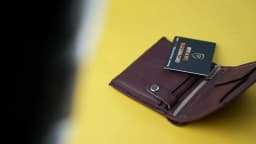 Protect Entire Wallet RFID Blocking NFC Signals Shield Secure for Credit Cards and Passports Protector Card Protector Blocker