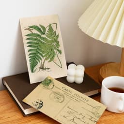 30pcs Retro Ancient Forest Animals Plants Specimen Postcard Vintage Writable Greeting Postcards,Wall Collage Kit Home Decoration