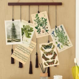 30pcs Retro Ancient Forest Animals Plants Specimen Postcard Vintage Writable Greeting Postcards,Wall Collage Kit Home Decoration