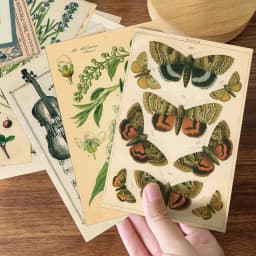 30pcs Retro Ancient Forest Animals Plants Specimen Postcard Vintage Writable Greeting Postcards,Wall Collage Kit Home Decoration
