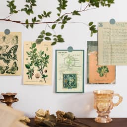 30pcs Retro Ancient Forest Animals Plants Specimen Postcard Vintage Writable Greeting Postcards,Wall Collage Kit Home Decoration