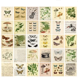 30pcs Retro Ancient Forest Animals Plants Specimen Postcard Vintage Writable Greeting Postcards,Wall Collage Kit Home Decoration