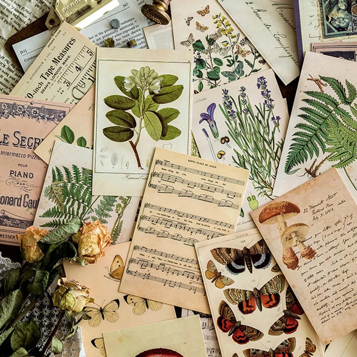 30pcs Retro Ancient Forest Animals Plants Specimen Postcard Vintage Writable Greeting Postcards,Wall Collage Kit Home Decoration