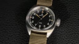 STEELFLIER Official 36MM Quartz Watch Luxury SF745 Swiss Luminous VH31 Mute Movement 20Bar Waterproof Unisex Fashion Dive Watch