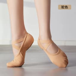 New Elastic Cloth Dance Shoes Soft-Soled Ballet Cat Claw Shoes Adult Girl Dance Yoga Male and Female Rhythmic Gymnastics Shoes